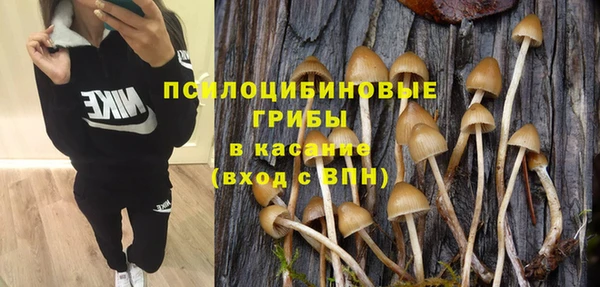 МДПВ Армянск